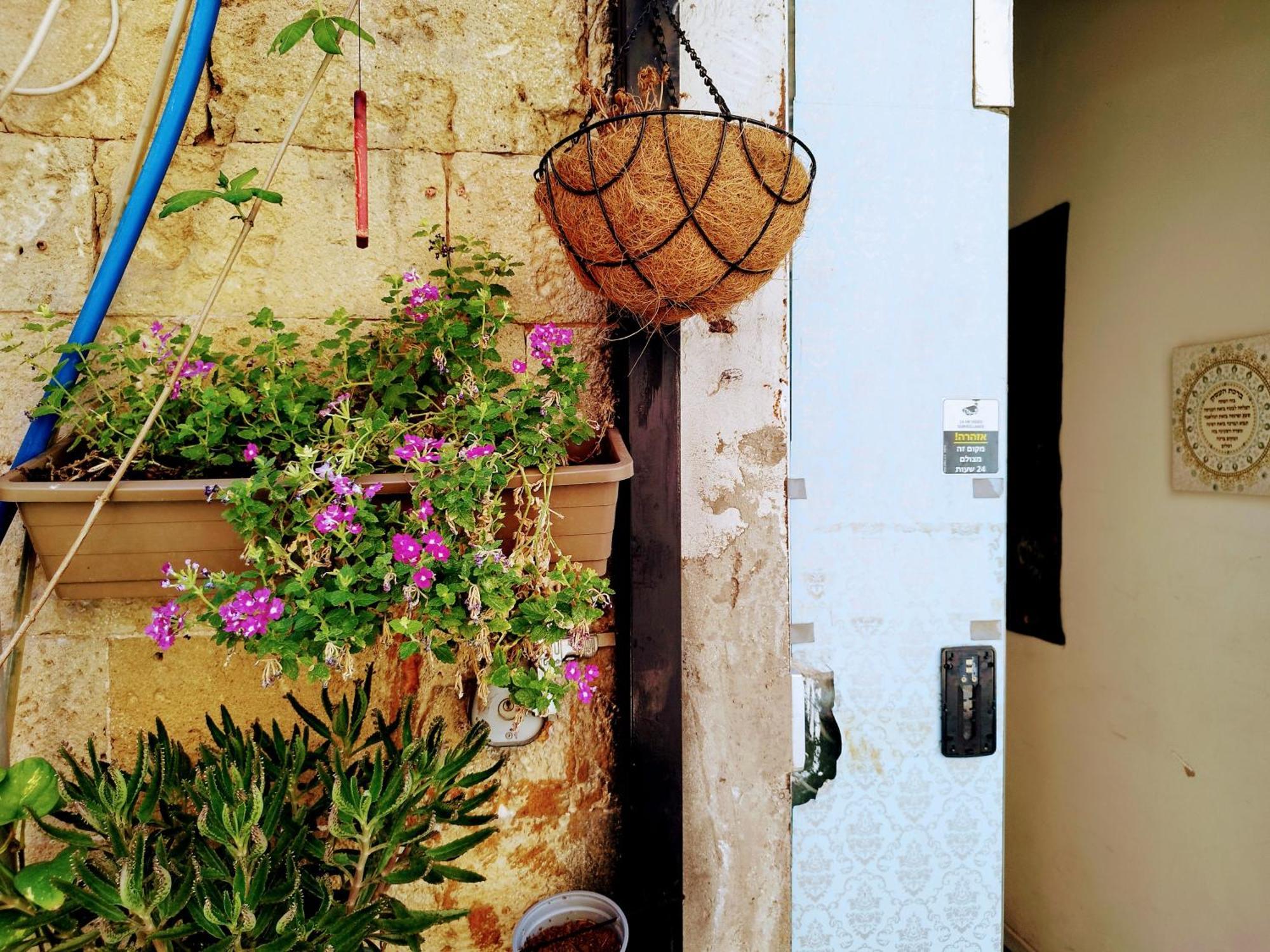 Polihosts Old Jaffa Hostel Тел Авив Екстериор снимка